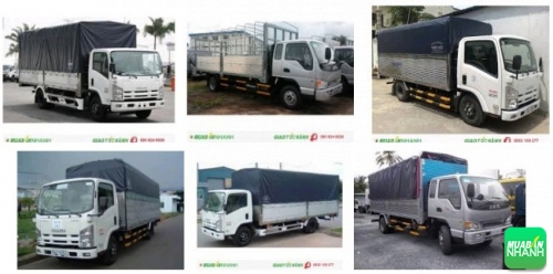 Kinh nghiệm khởi nghiệp kinh doanh xe tải online hiệu quả nhất